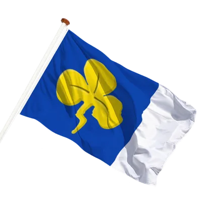 transparent background