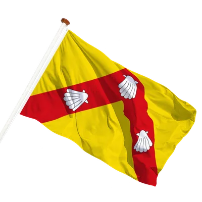 transparent background