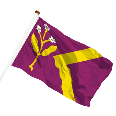 transparent background