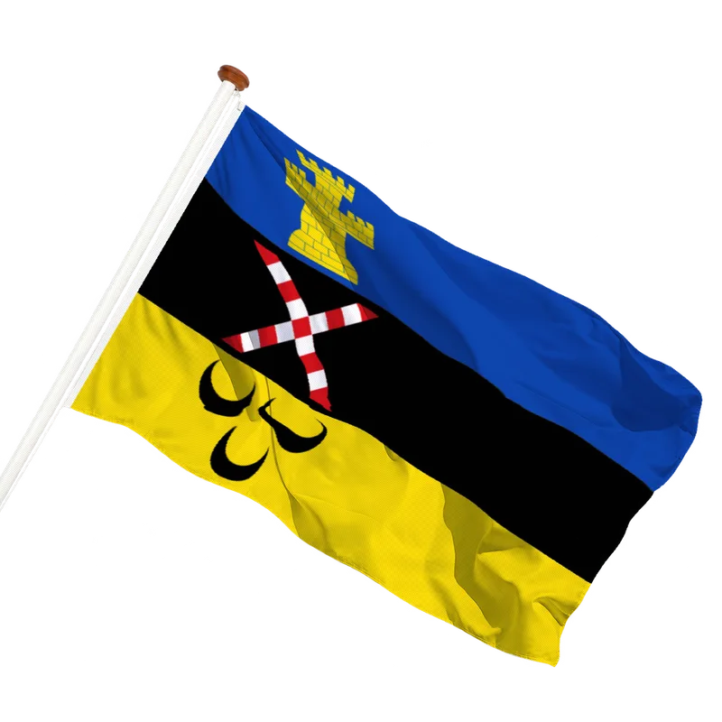 Flag of Meierijstad