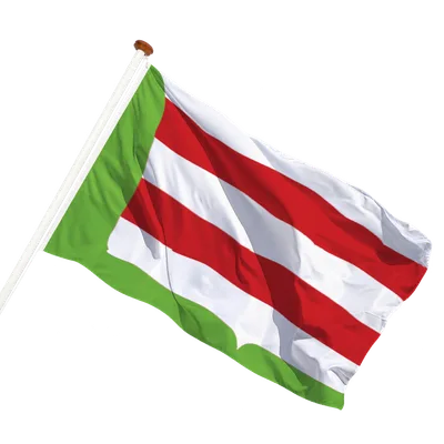 transparent background