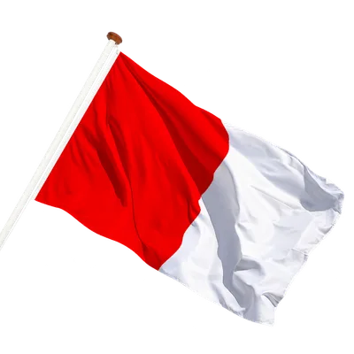 transparent background