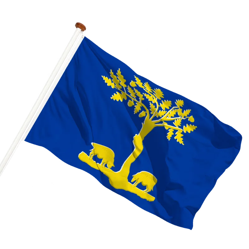 Flag of Lommel