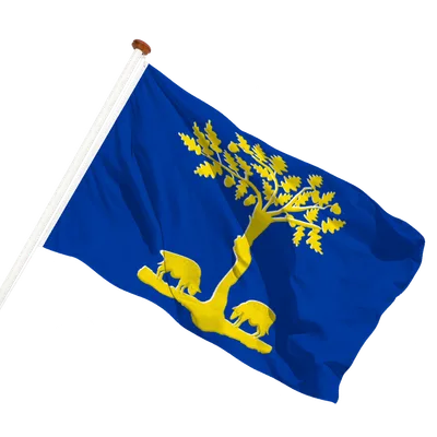 transparent background