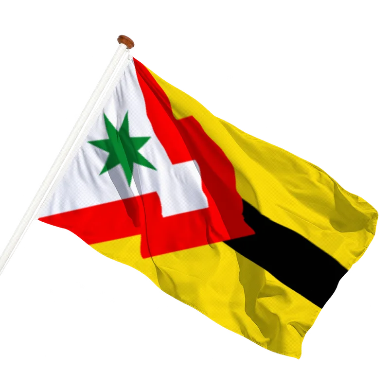 Flag of Rottum