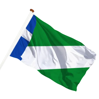 transparent background