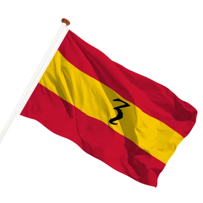 transparent background