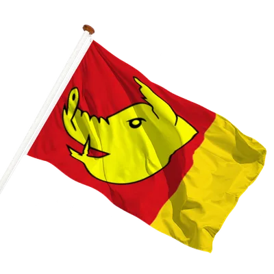 transparent background
