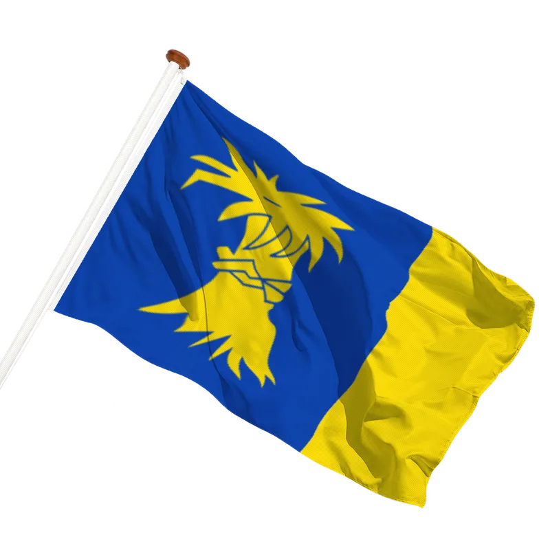 Flag of Reduzum