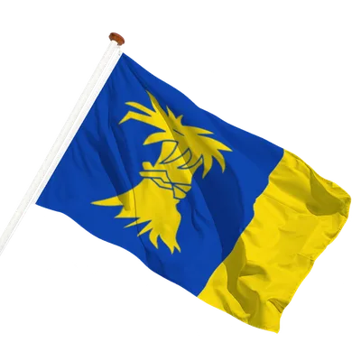transparent background