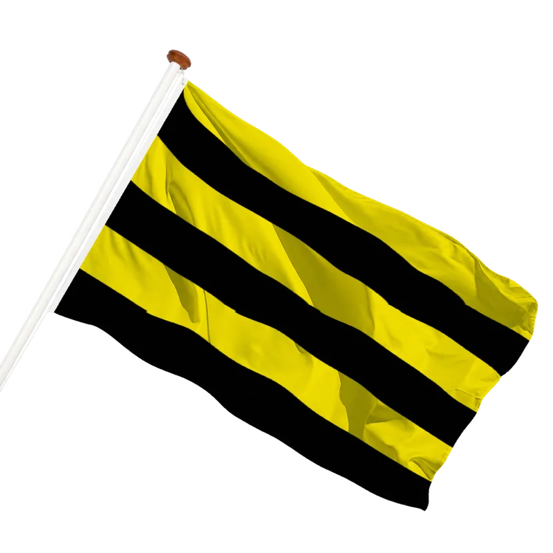 Flag of Schiedam