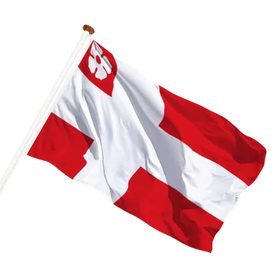 transparent background