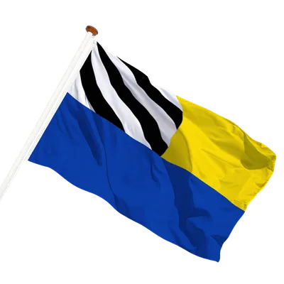 transparent background