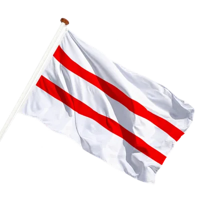 transparent background
