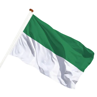 transparent background