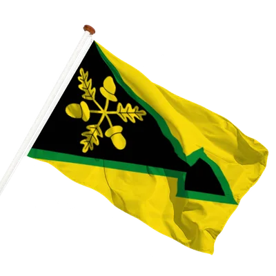 transparent background