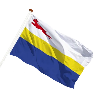 transparent background