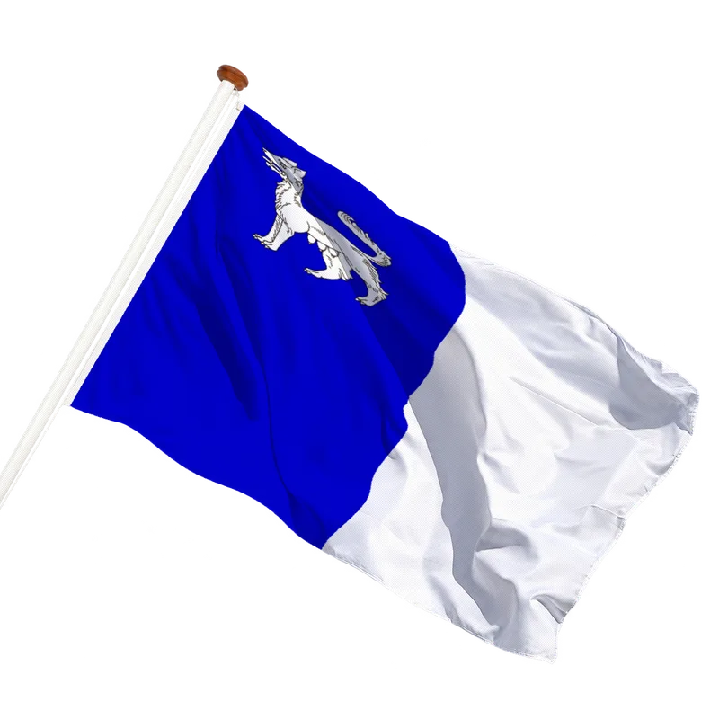 Flag of La Louvière