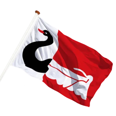 transparent background