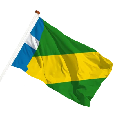 transparent background