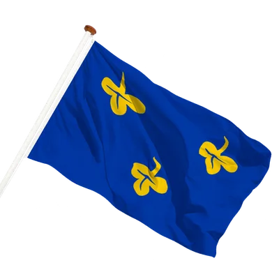 transparent background