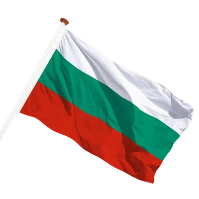 transparent background