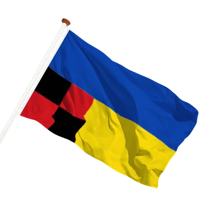 transparent background