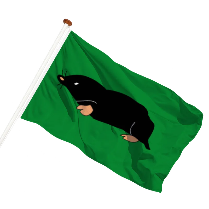 Flag of Schermerhorn