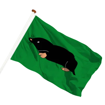 transparent background