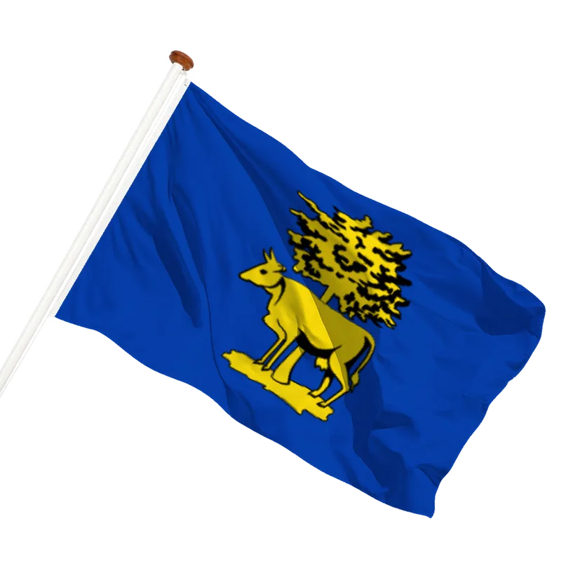 Flag of Graft