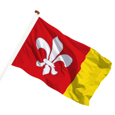 transparent background