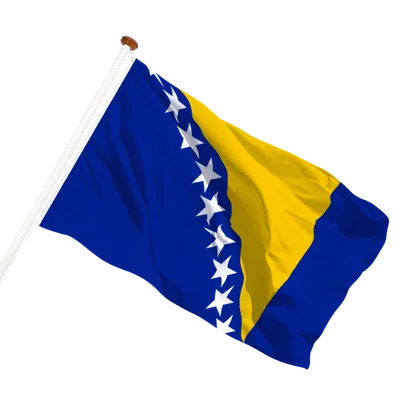 transparent background
