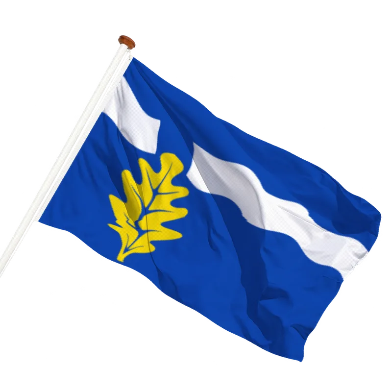 Flag of Mildam