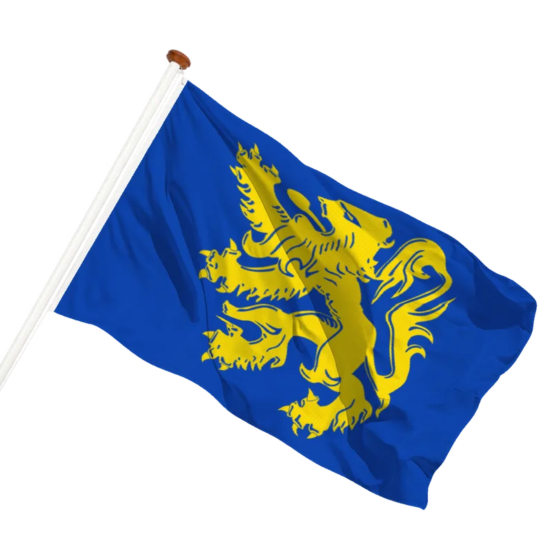 Flag of Q226941