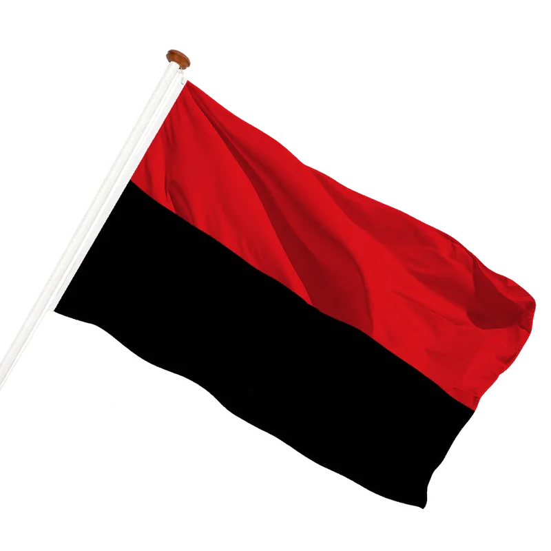 Flag of Zoutleeuw