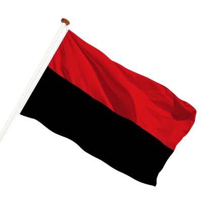 transparent background