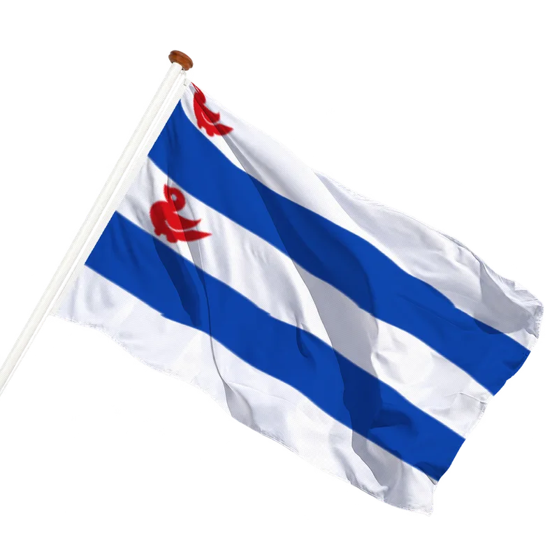 Flag of Kootstertille