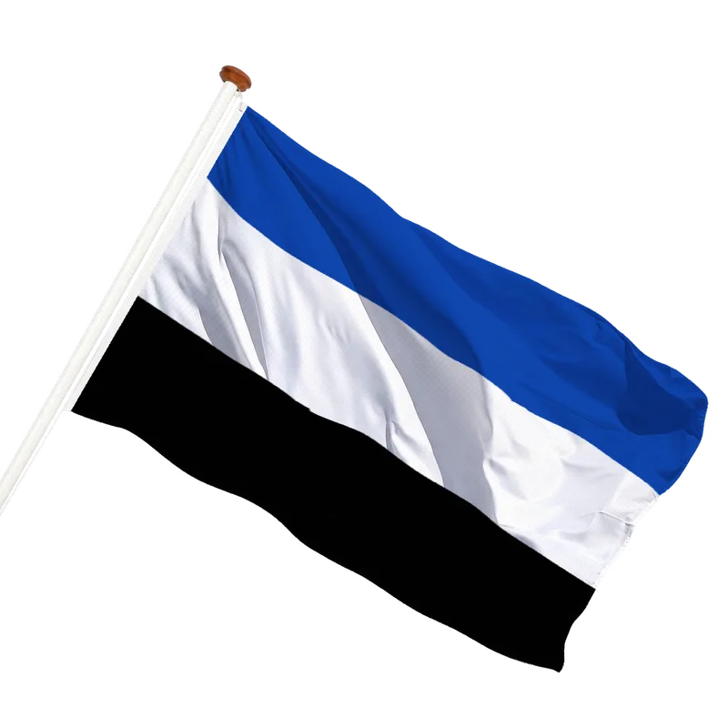 Flag of 's-Gravenpolder