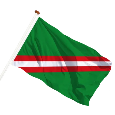 transparent background