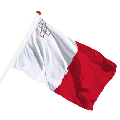 transparent background