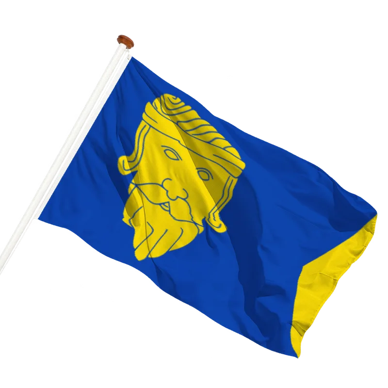 Flag of Wormer