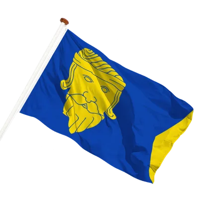 transparent background