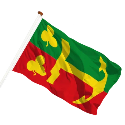 transparent background