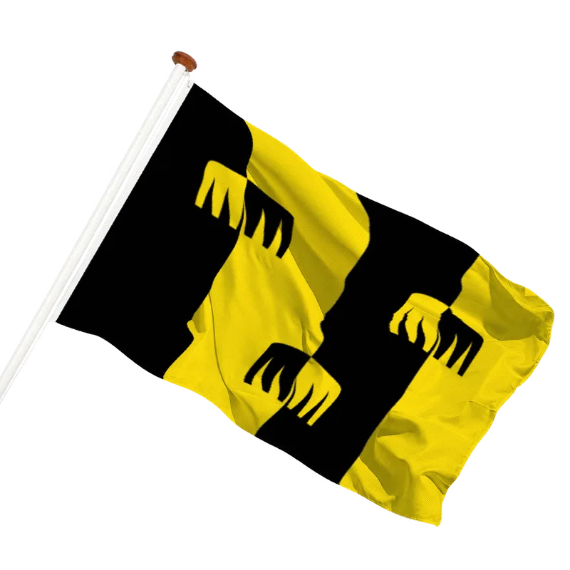 Flag of Chaam