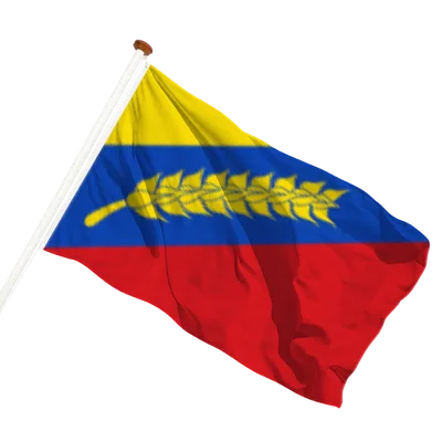 transparent background