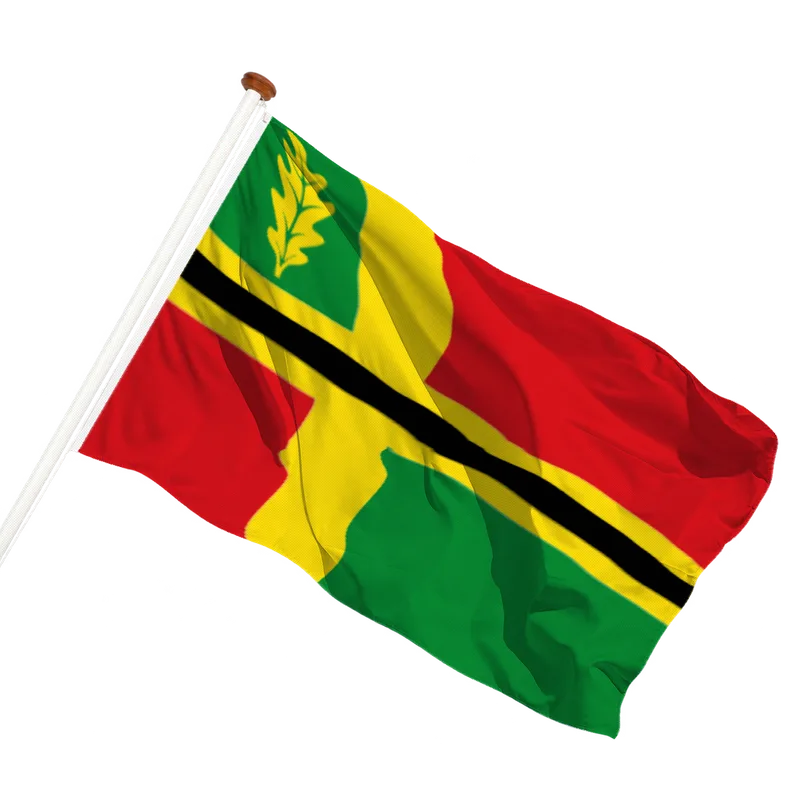 Flag of Bakkeveen