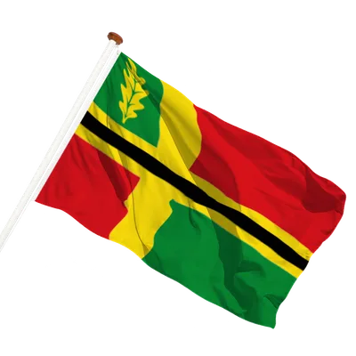 transparent background