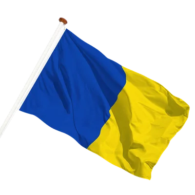 transparent background
