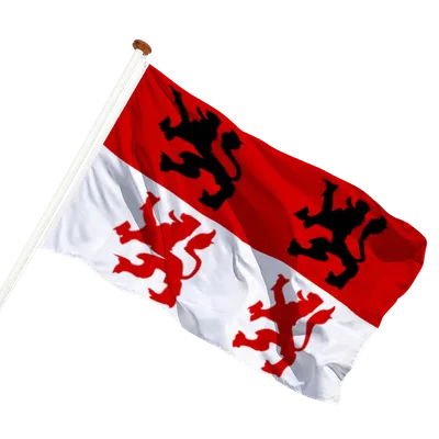 transparent background