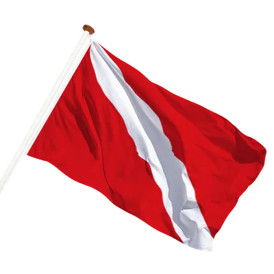 transparent background